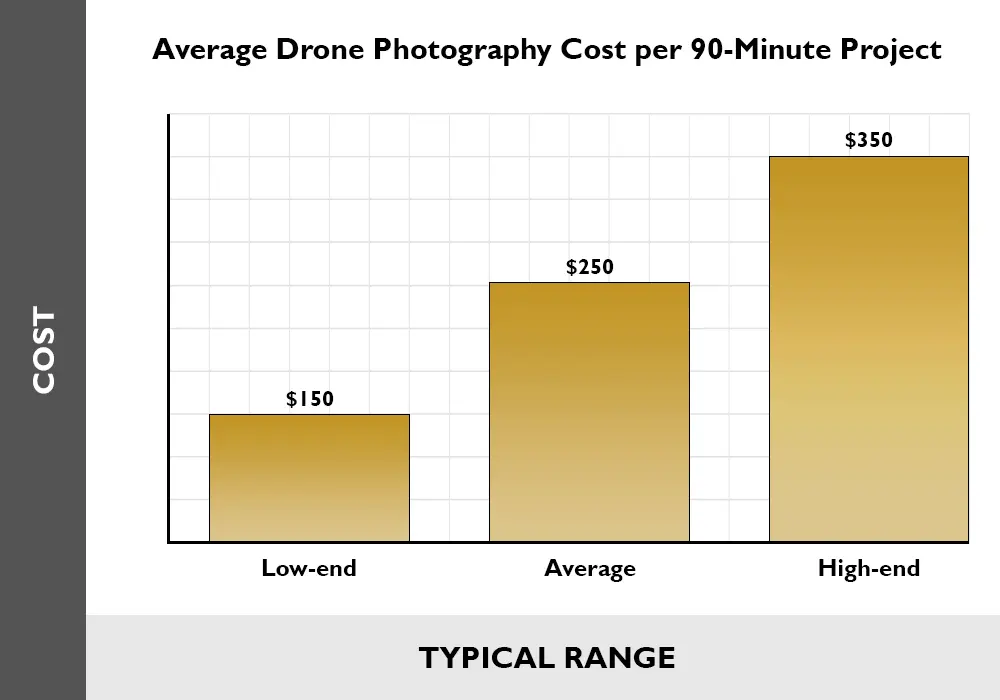 Cost of Drone